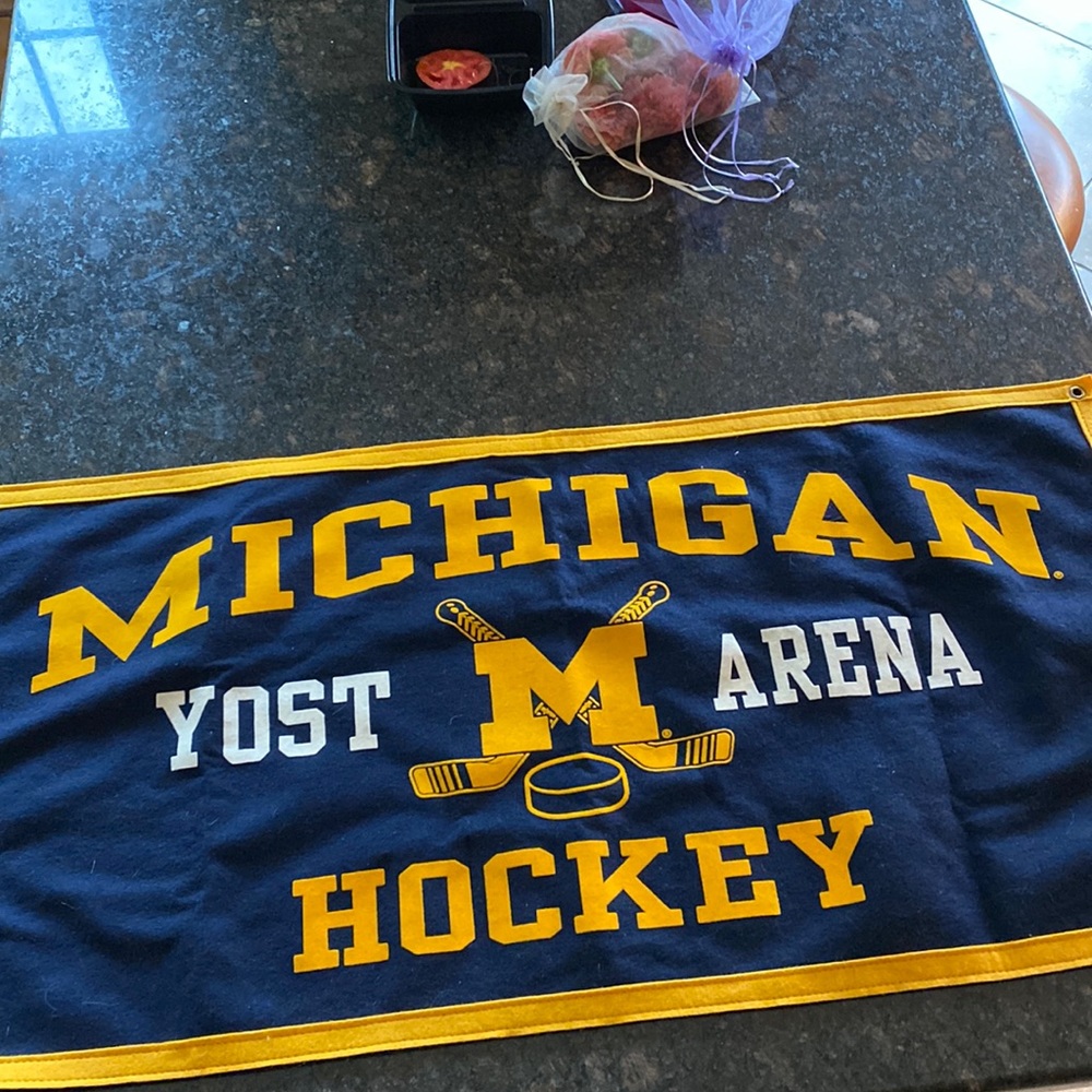 University of Michigan Hockey banner